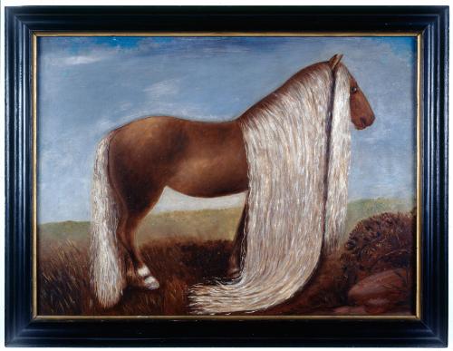 The Horse with the Longest Hair in the World