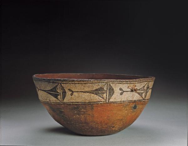 Bowl