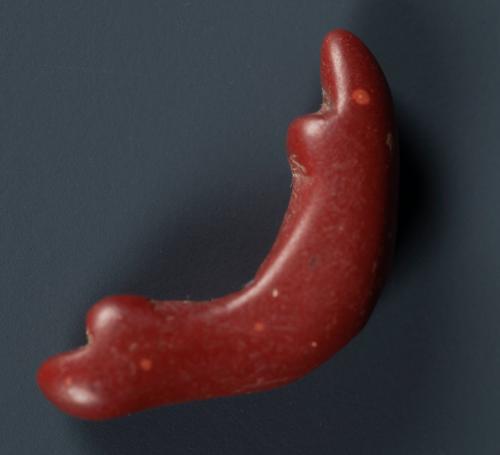 Bead