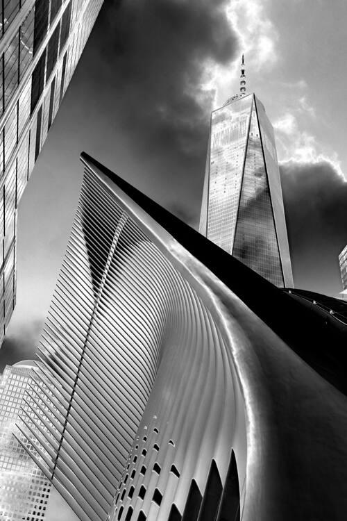 Freedom Tower & The Oculus