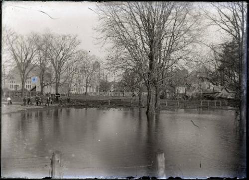 Men & Boys at a Pond