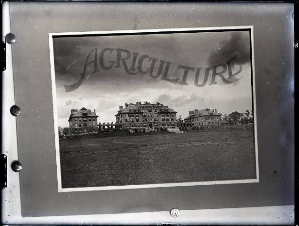 College of Agriculture, Cornell University, Ithaca, NY