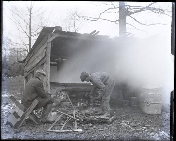 Jay Lampman's Sugar Bush