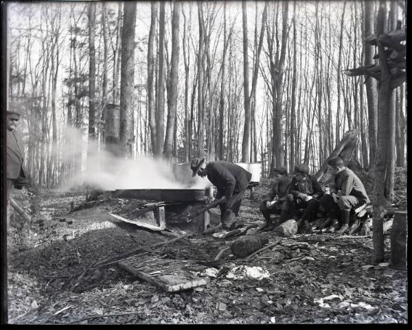 Stook's Sugar Bush- A Hills