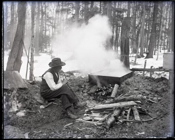 Stook's Sugar Bush- (A Hills) A Moment of Rest