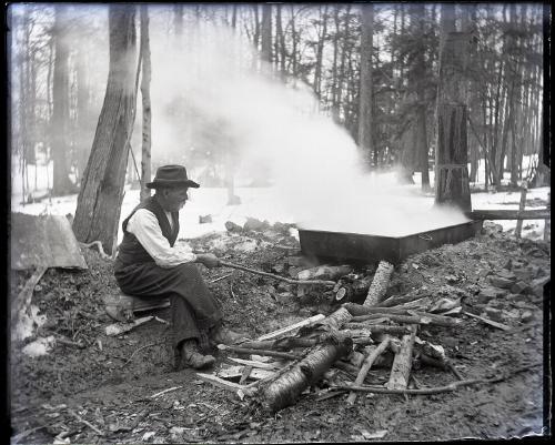 Stook's Sugar Bush- A Hills