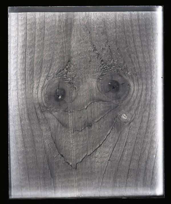 Grotesque Face Formed by Knots and Grain on a Piece of Wood