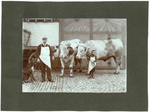 Man and Boy with Two Bulls