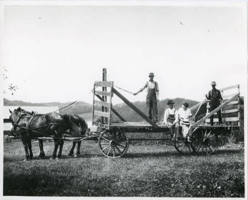 Sitting on the Wagon