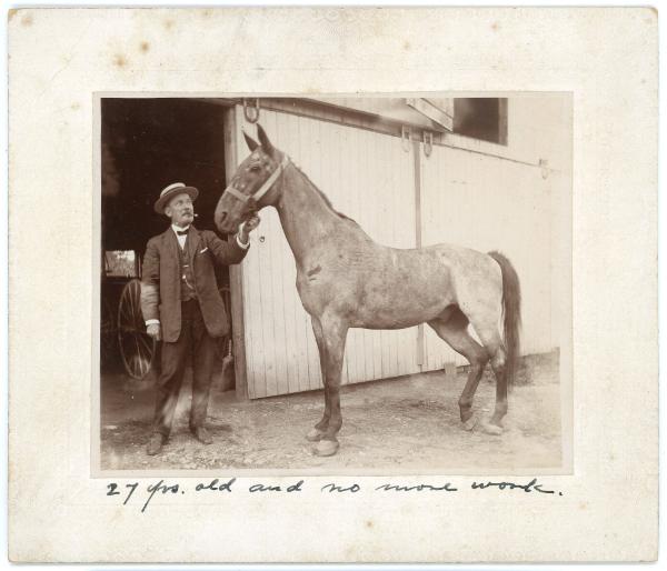 Man with Old Horse