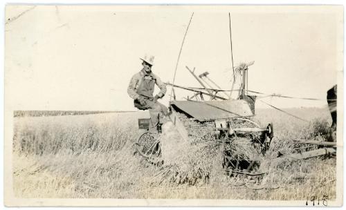 Harvesting grain