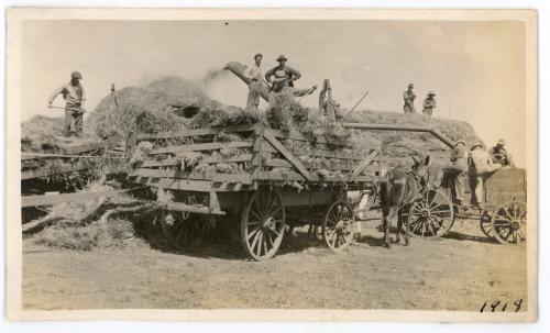 Loading Hay