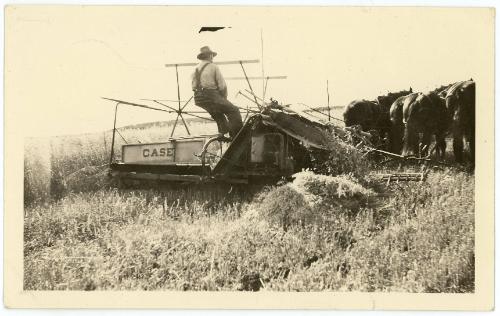 Man on a Case Horse Drawn Grain Cutter