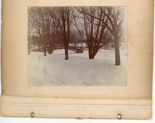 "Winter" The Lake Washington Park 2