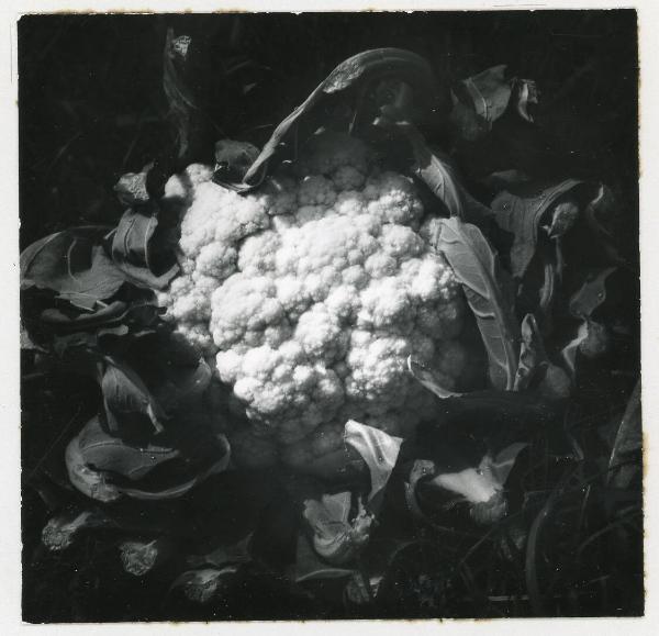 Cauliflower