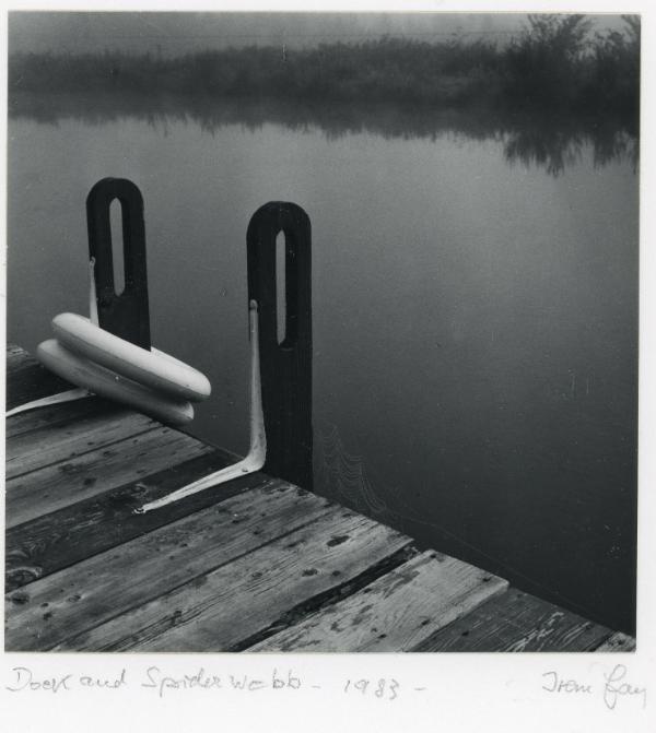 Dock and Spider Web