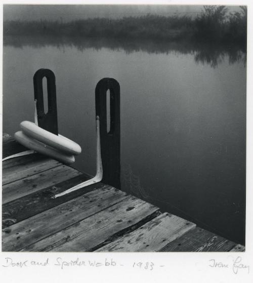 Dock and Spider Web