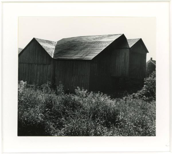 Barn, New Kingston