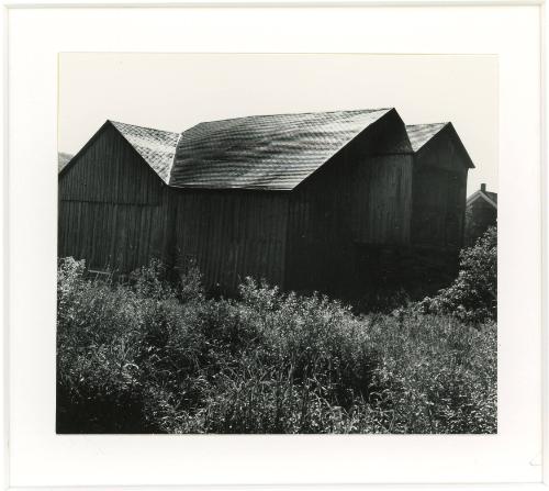 Barn, New Kingston