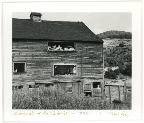 Chicken Villa in the Catskills