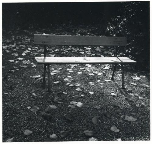 Bench