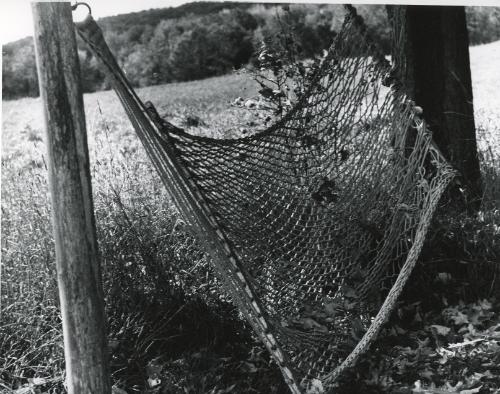 Hammock