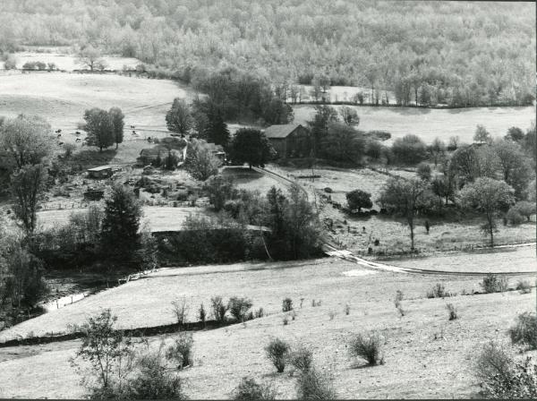 O’Konnor Farm, New Kingston