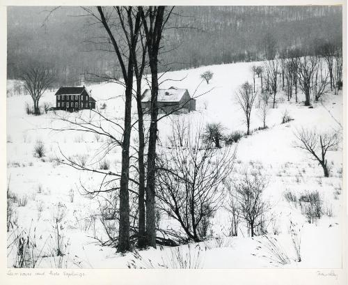 Farmhouse and Three Saplings