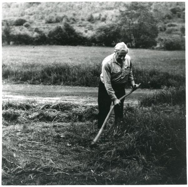 Stefan Mowing his Hay