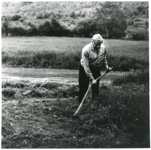 Stefan Mowing his Hay