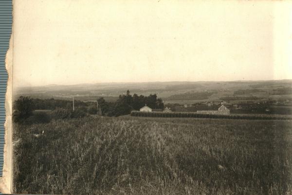 Landscape Panorama 3