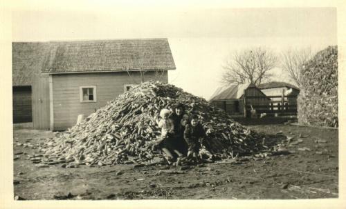 On the Corn Pile