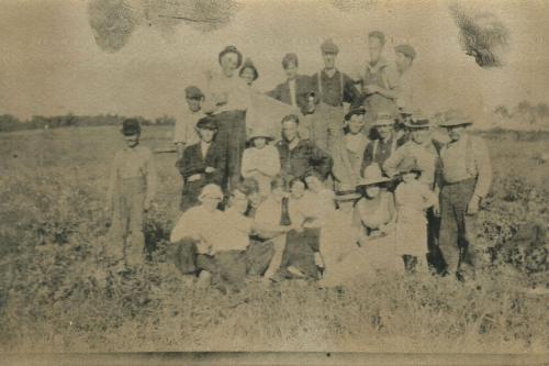 Group in Field 1