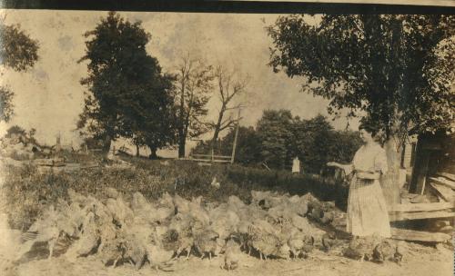 Women and Chickens