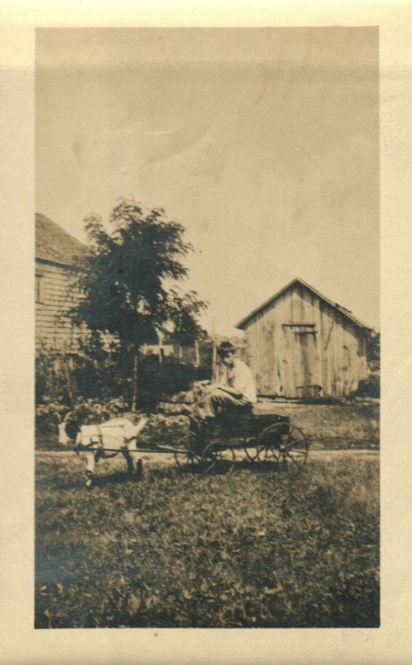 Boy in Cart Pulled by Goat