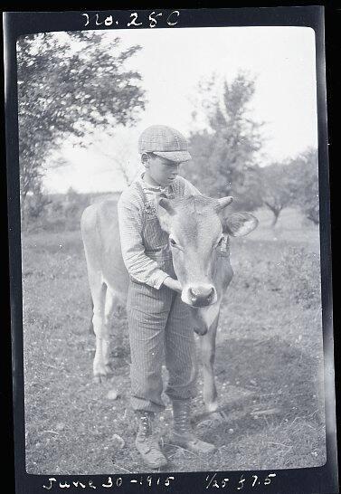 Boy & Cow