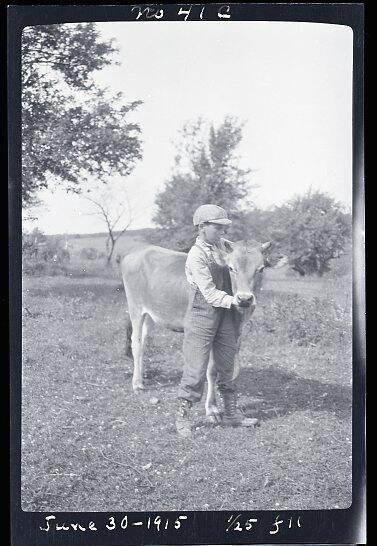 Boy & Cow