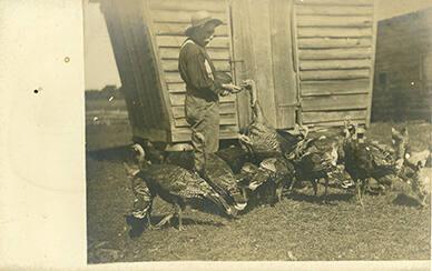 Harold Smith's Turkey Farm