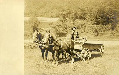Horses & Wagon on  Ingram Farm