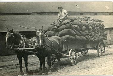 Man with Loaded Horse Drawn Wagon on Ingram Farm