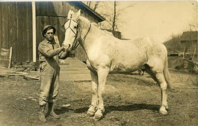 Man with a Horse on Ingram Farm