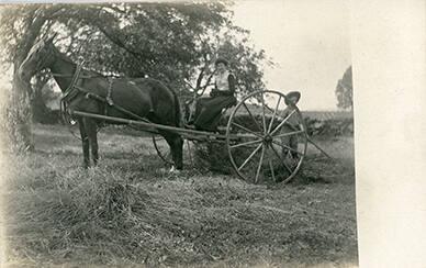 Horse Drawn Hay Rake