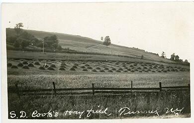 S.D. Cook's Hay Field