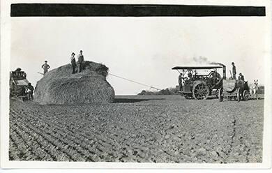 Threshing Violas Farm- Wesley NY