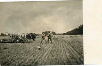 Fighting in a Field- Wesley NY