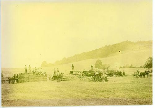 Armstrong Farm Haying
