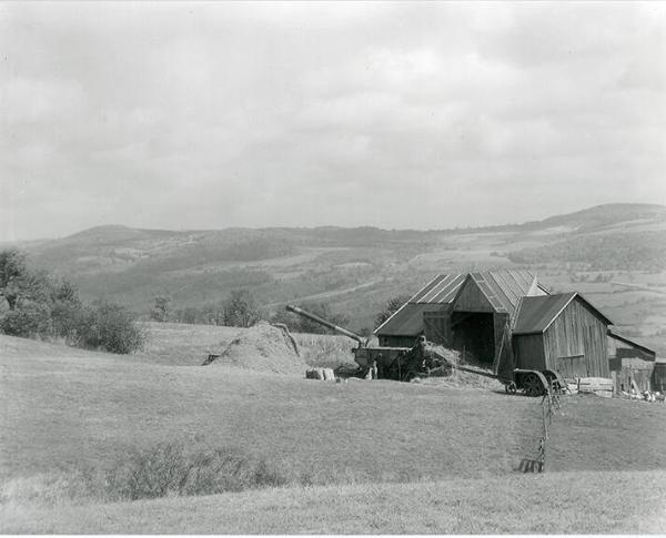 Threshing
