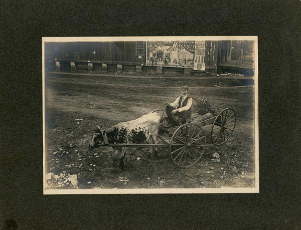 Milk Cow Pulled Cart with Minstrel