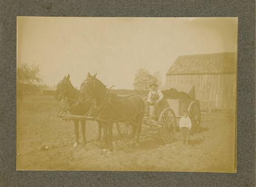 Timothy McKane Manure Wagon