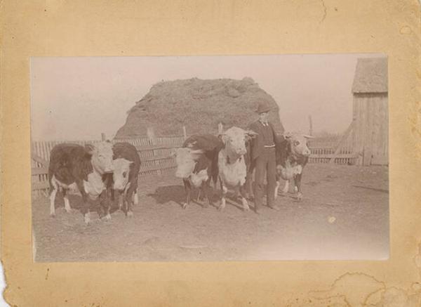 W.A. Turner on Southern Stock Farm